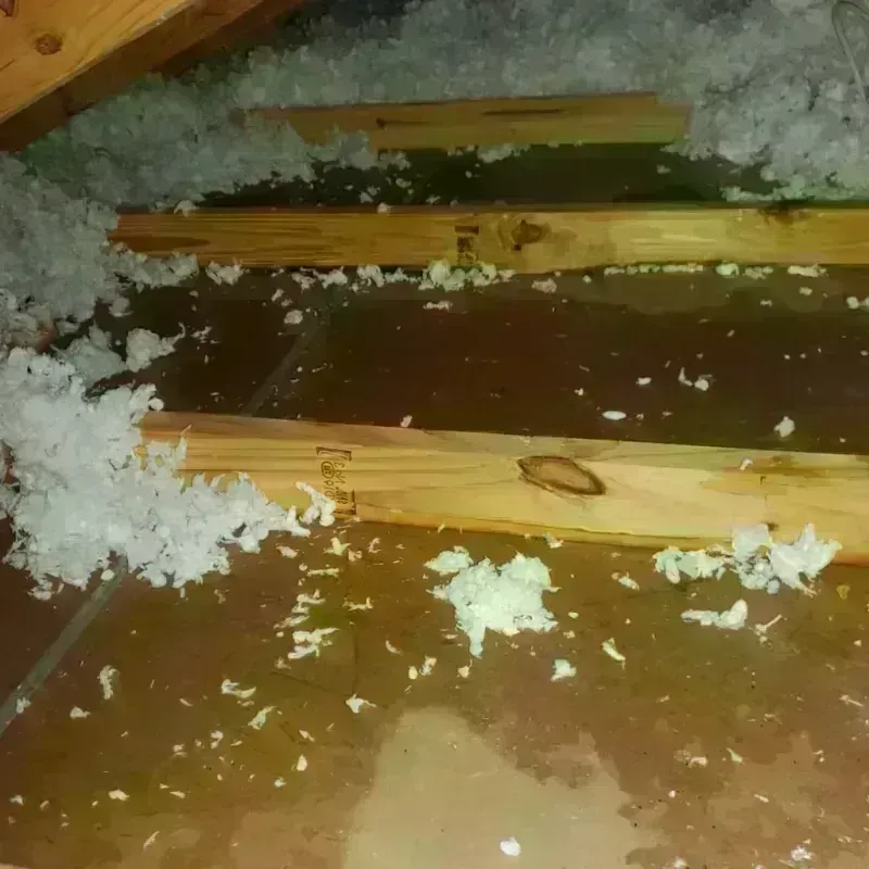 Attic Water Damage in Spicer, MN