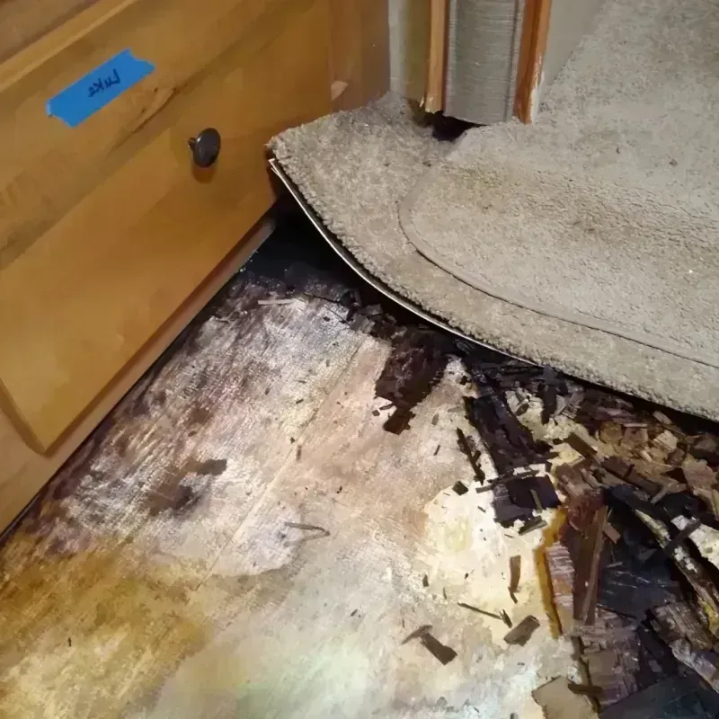 Wood Floor Water Damage in Spicer, MN